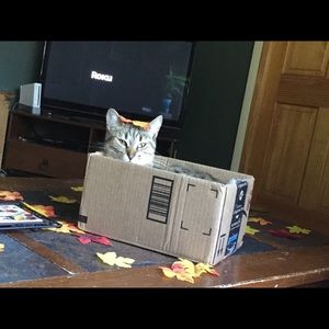 Meet your Posher, Daniel